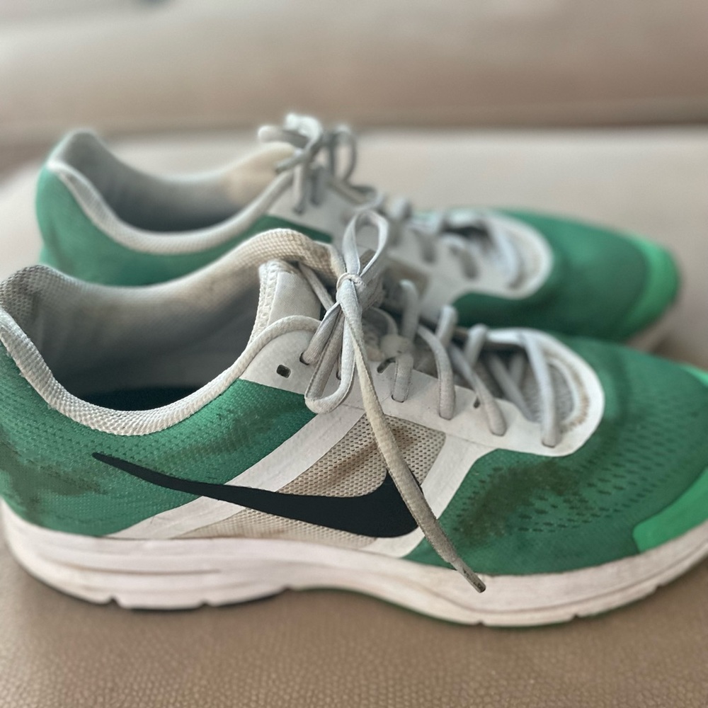 Nike Pegasus 30 shoes